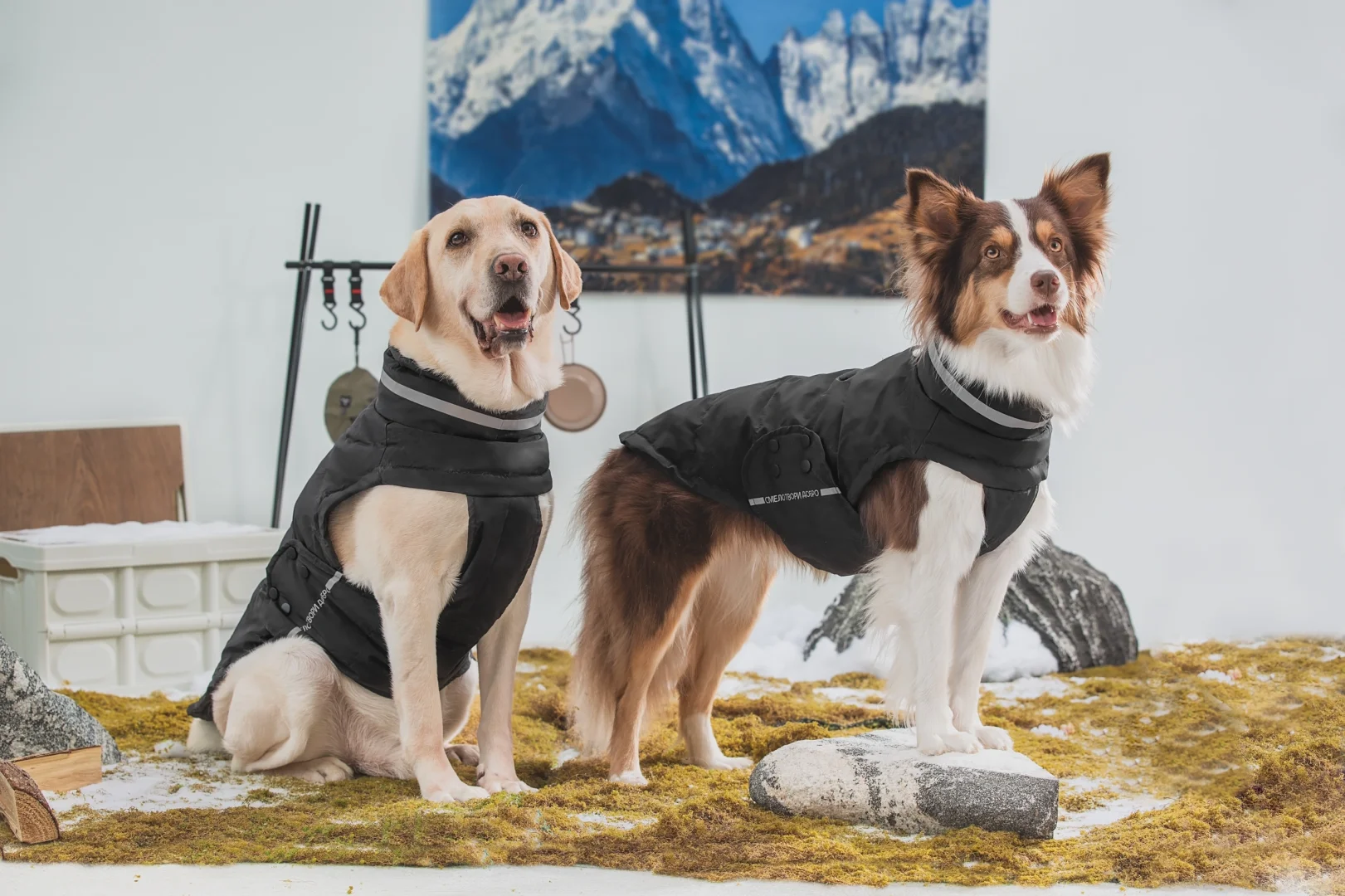 上班时间也谈甜甜的恋爱