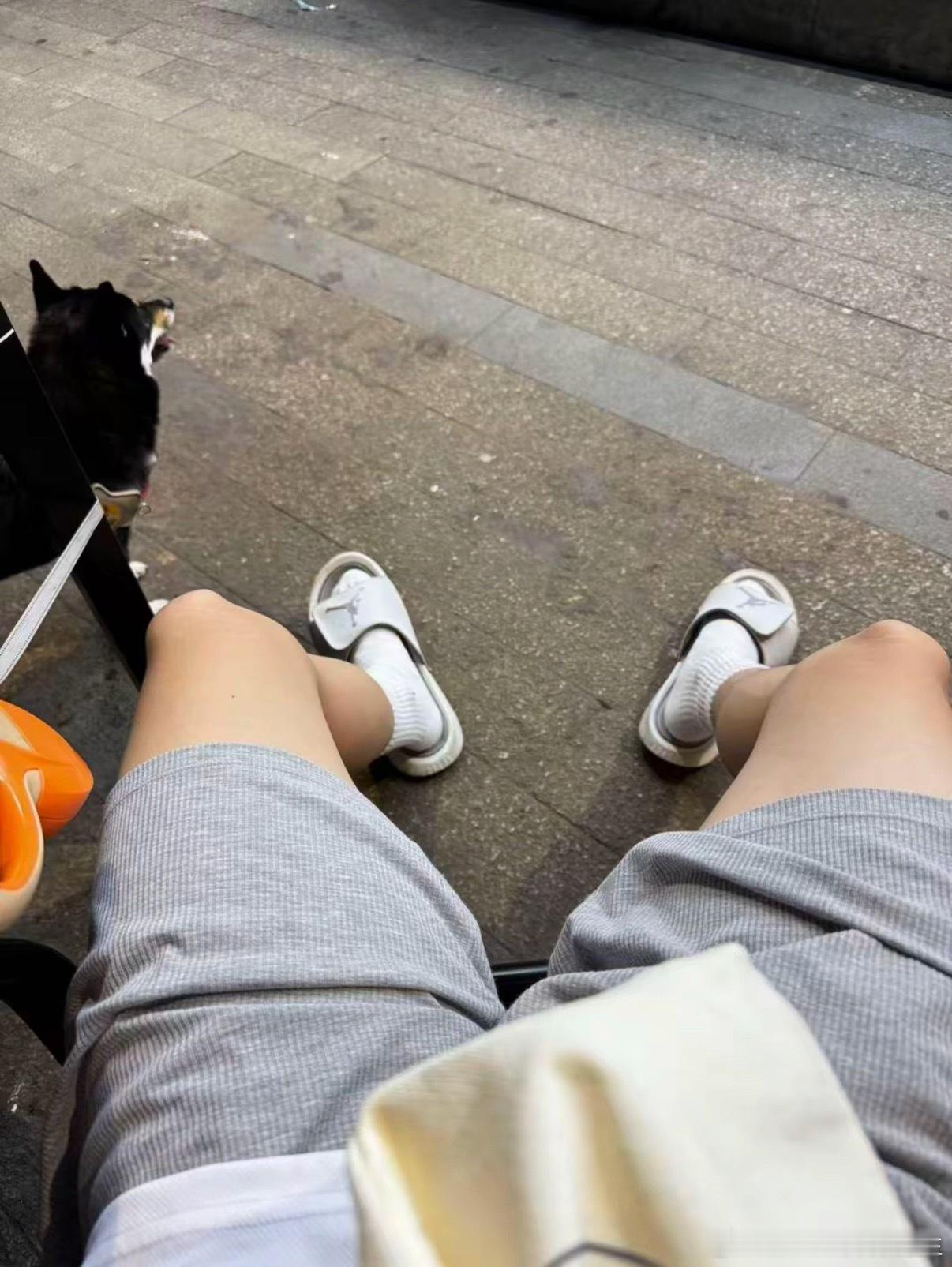 可爱的小柴