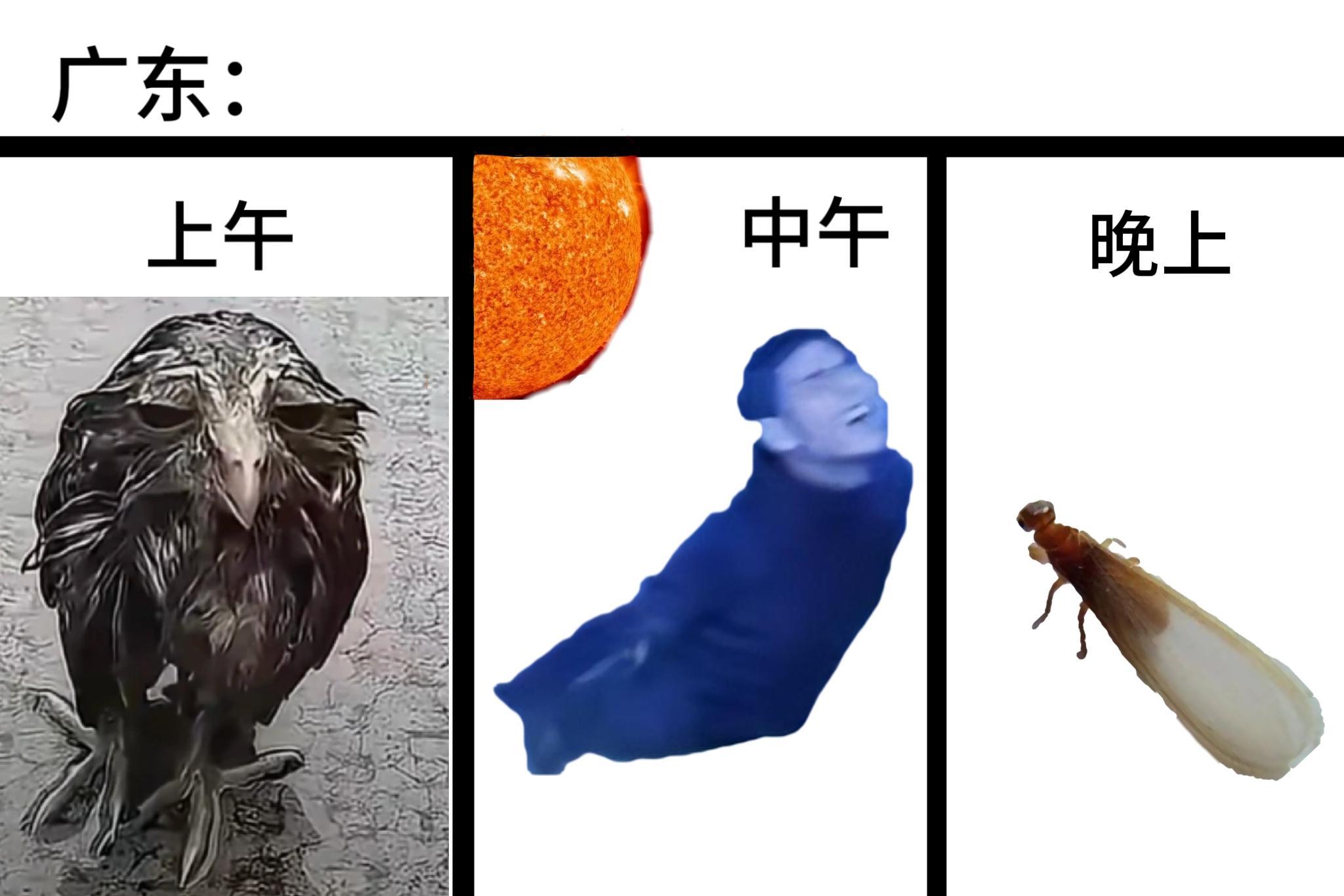 拿个快递湿了一身 