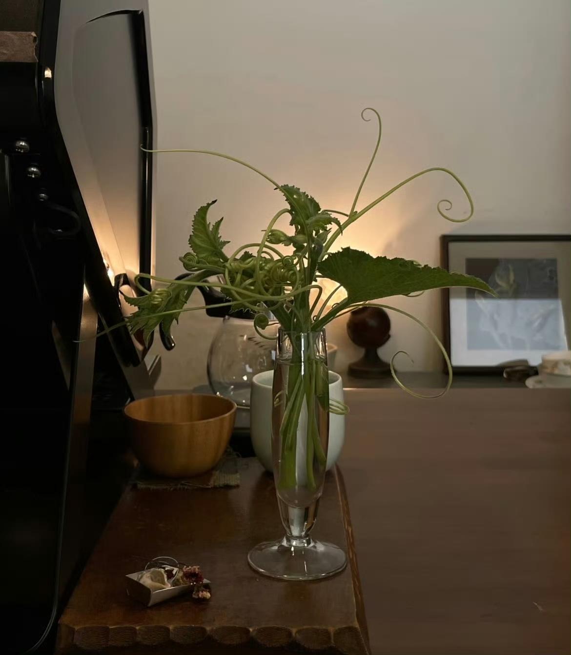 止怒即是避祸，止怨即是得福 ​。