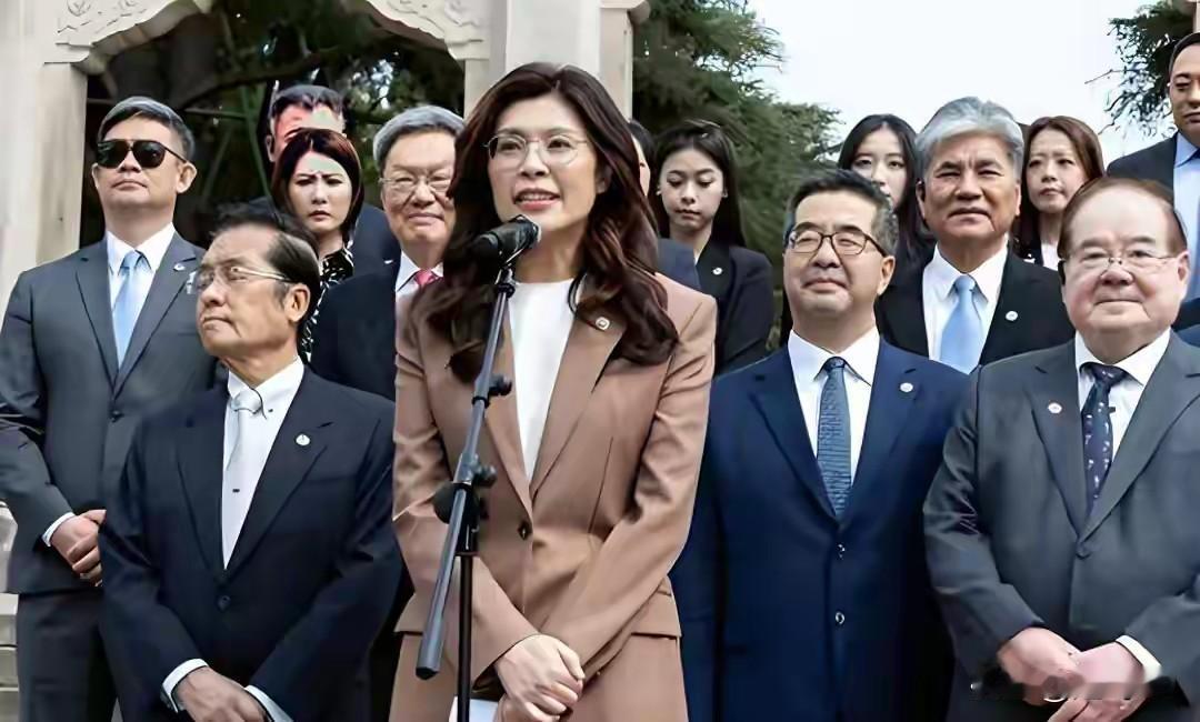 郑丽文真会表演，日本地震赶快给日本捐款，广西水灾也看不到郑丽文捐一分钱，给日本自