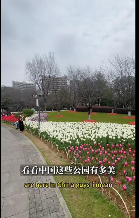 外国人不敢相信，中国普通的公园居然这么美，种植的居然还是真花。

国外的媒体都是