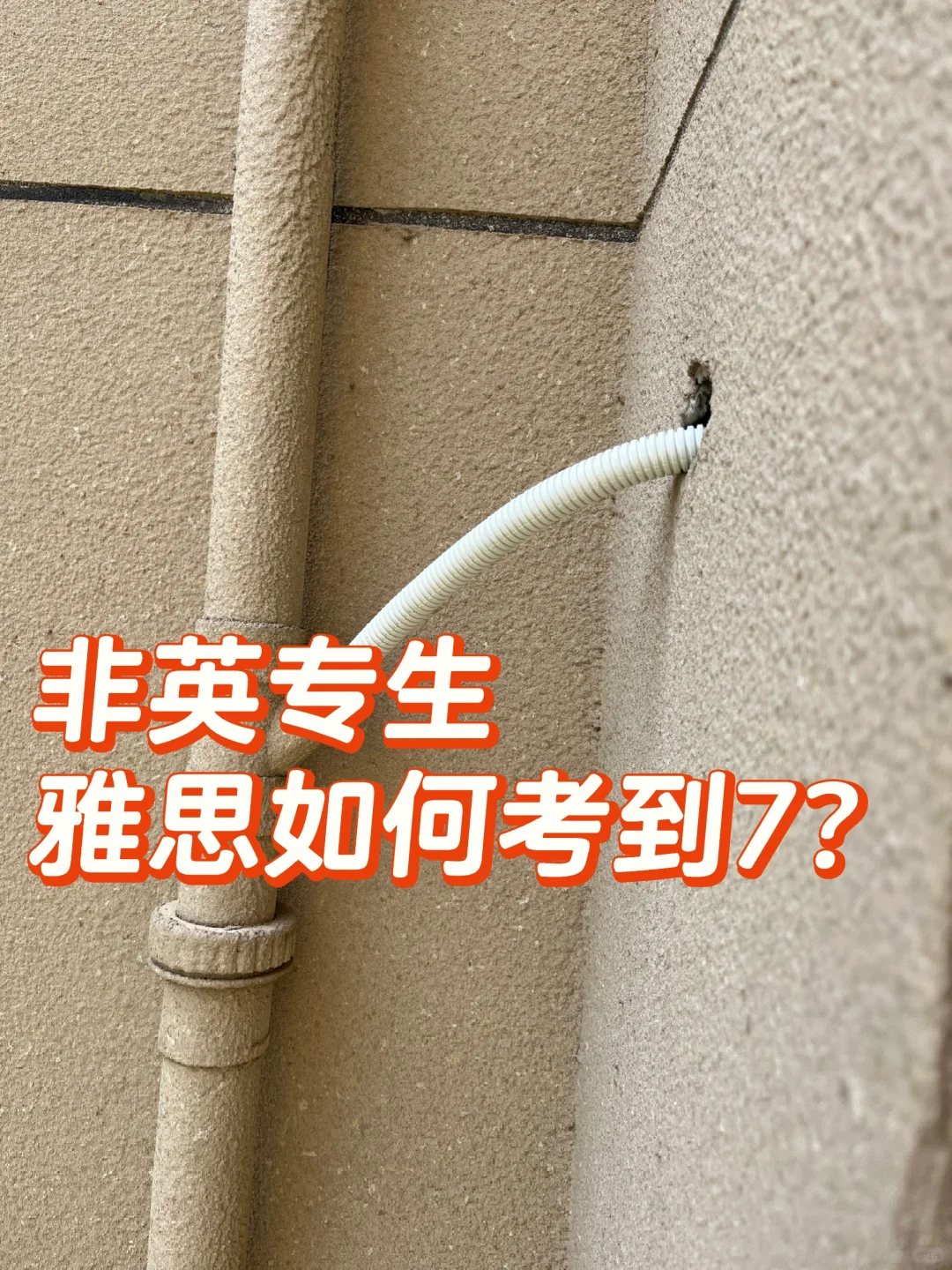 大龄已婚的工作党，你们雅思如何考到7的？