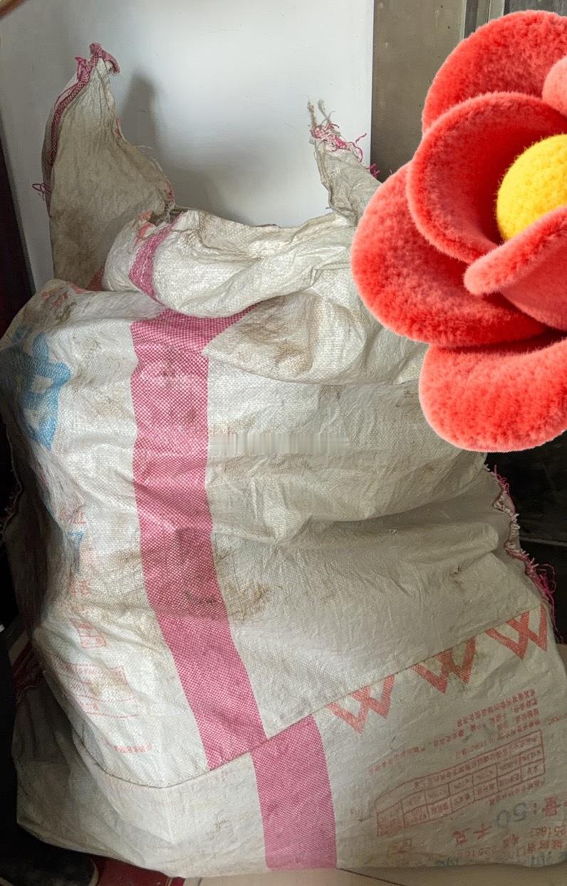 之前家里积攒的纸壳 废品 有老人在就拖去小区门口售卖，老人不在我带孩子太不方便，