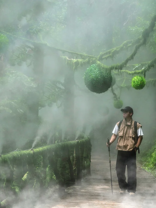 不是哀牢山！是浙江丽水的宝藏森林徒步路线！