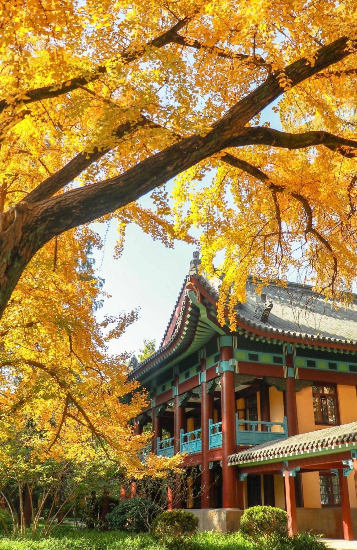 张凌赫一生执着拆东西的理工男差一点就和他同校当他师弟了可惜最后还是滑档了… 