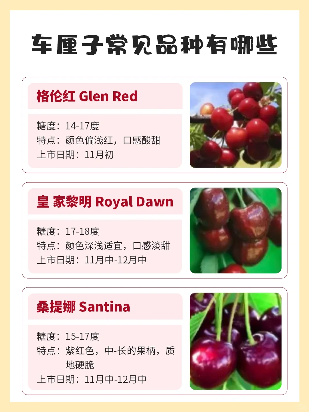🍒车厘子常见品种口感大比拼，看这篇就够了