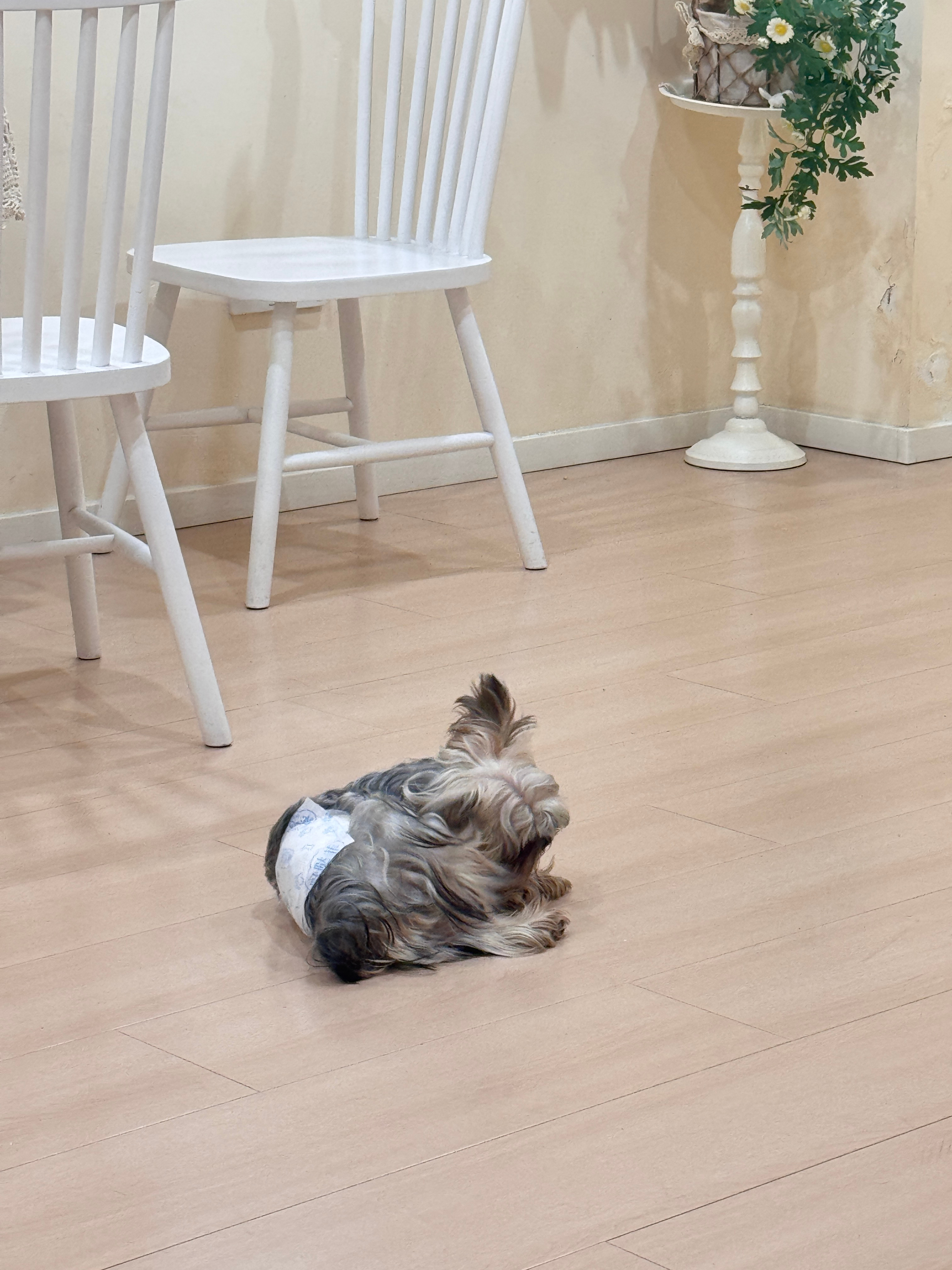 谁情感漠视了 想理的人我能不理吗 