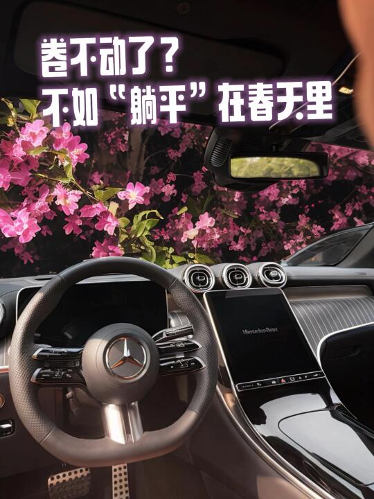 卷不动了？不如“躺平”在春天里🌸