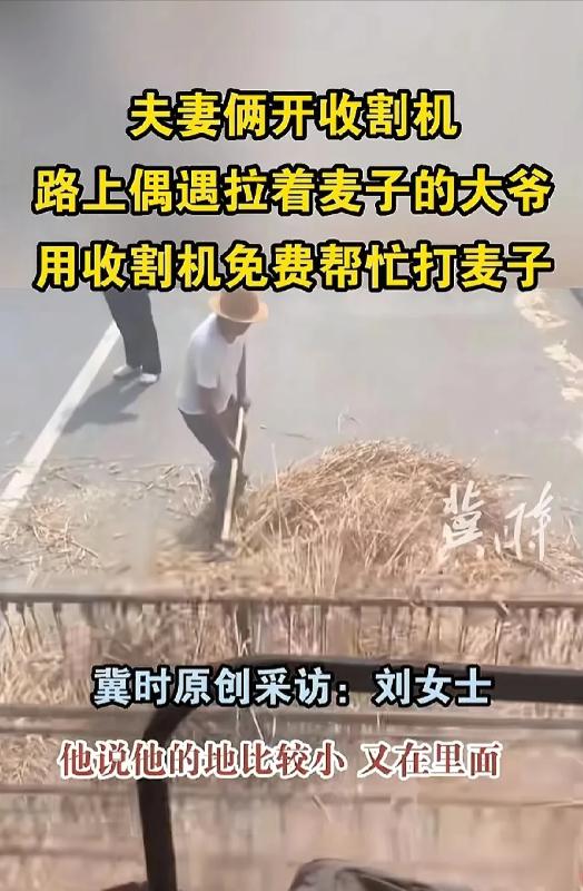 泪目！5月23日河南，一对开收割机的夫妻，干完收割麦子在路边休息，发现一位大爷在