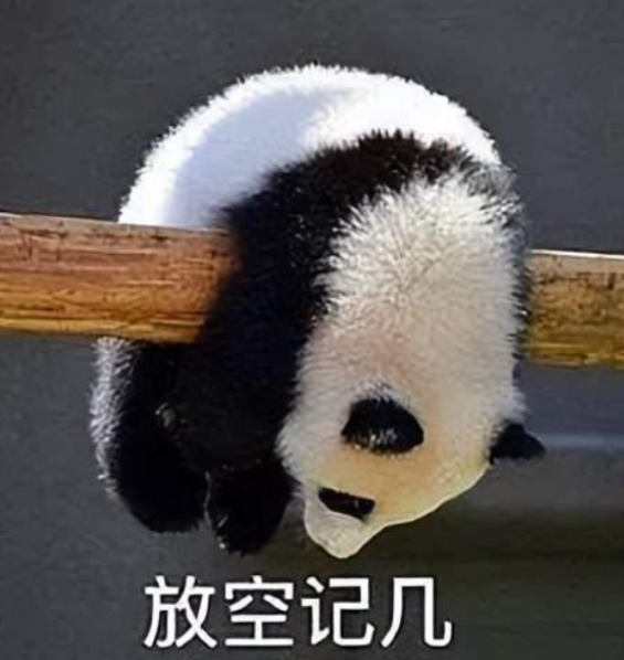 这几天睡眠又不好了。这个点了竟然还没有困意[苦涩]没睡的冒个泡吧 ​​​