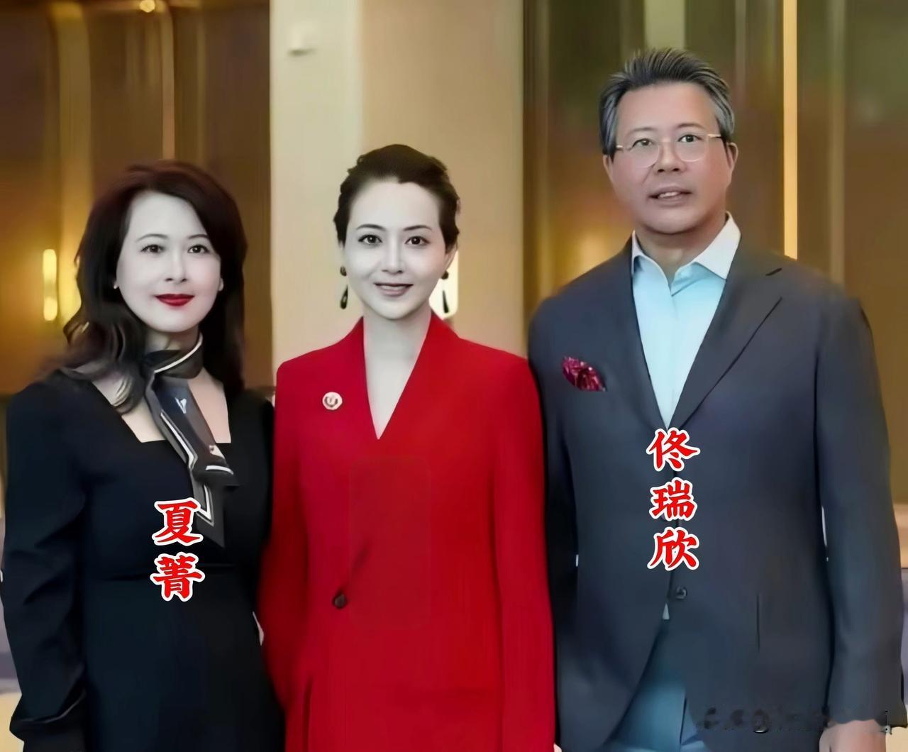 夏菁一袭黑裙搭配丝巾，温婉中透着干练；佟瑞欣西装笔挺、儒雅沉稳，银发与眼镜更添几