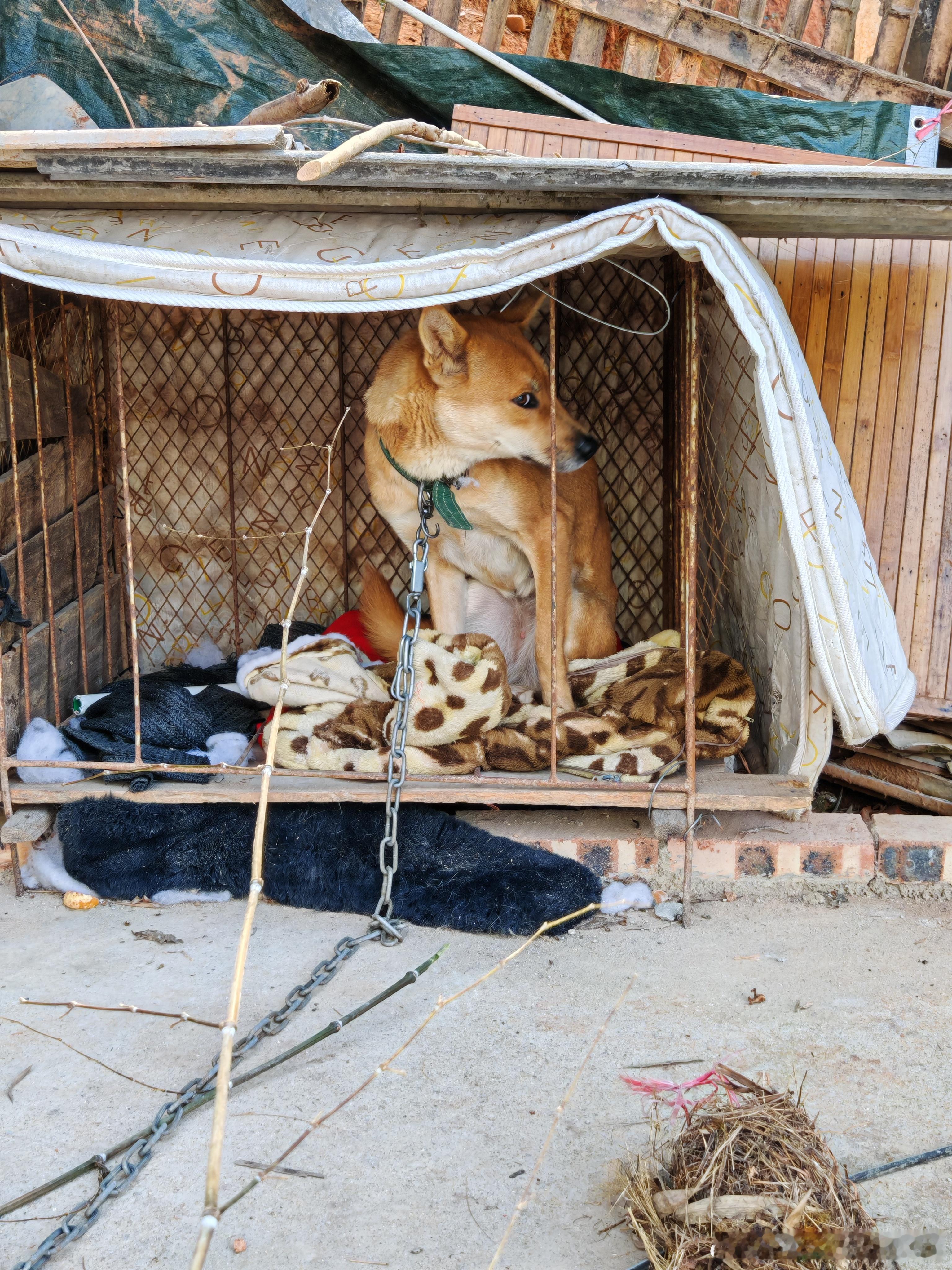 棍子看你怕不怕 