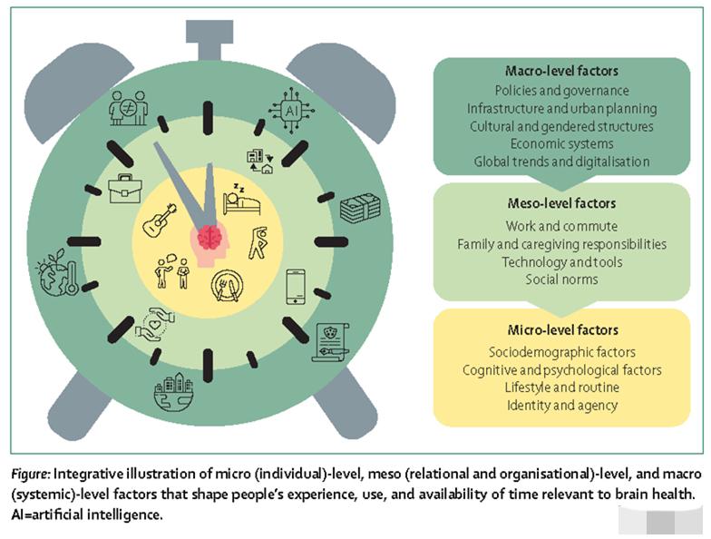 《柳叶刀》最新警告：长期“时间贫困”会损伤大脑！研究追踪10万人发现，每天自由支