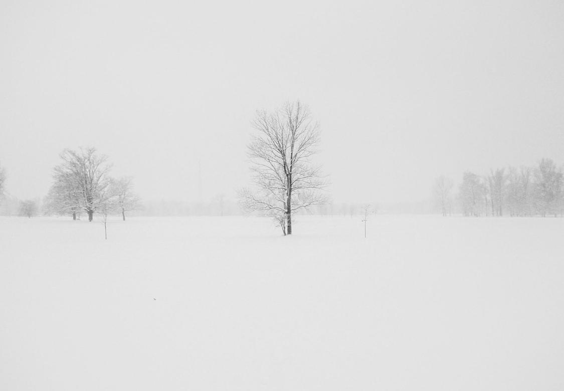 #中央气象台：这次暴雪极端性相当强#你家下雪了吗？东北发布预警，雨雪量可能会突破