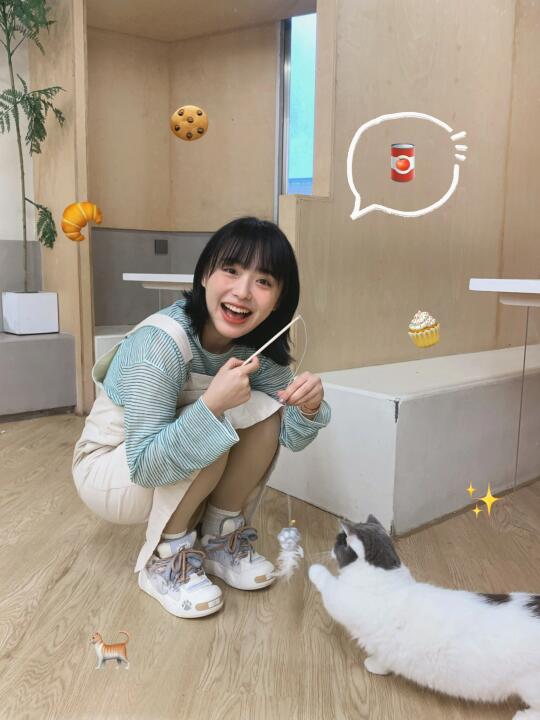 💗遇到敲软甜的小猫咪