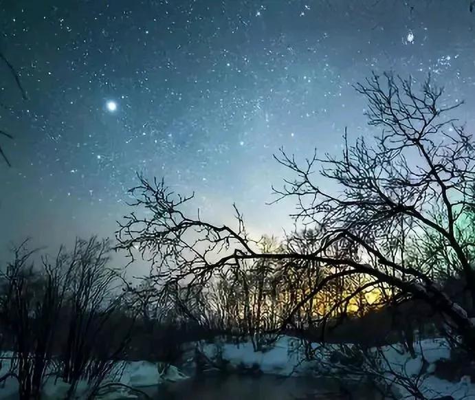 水仙子·《寒梅》

三九冬夜披月光，更迎寒气卷树旁，
红花静挂雪枝上。

惊叹严