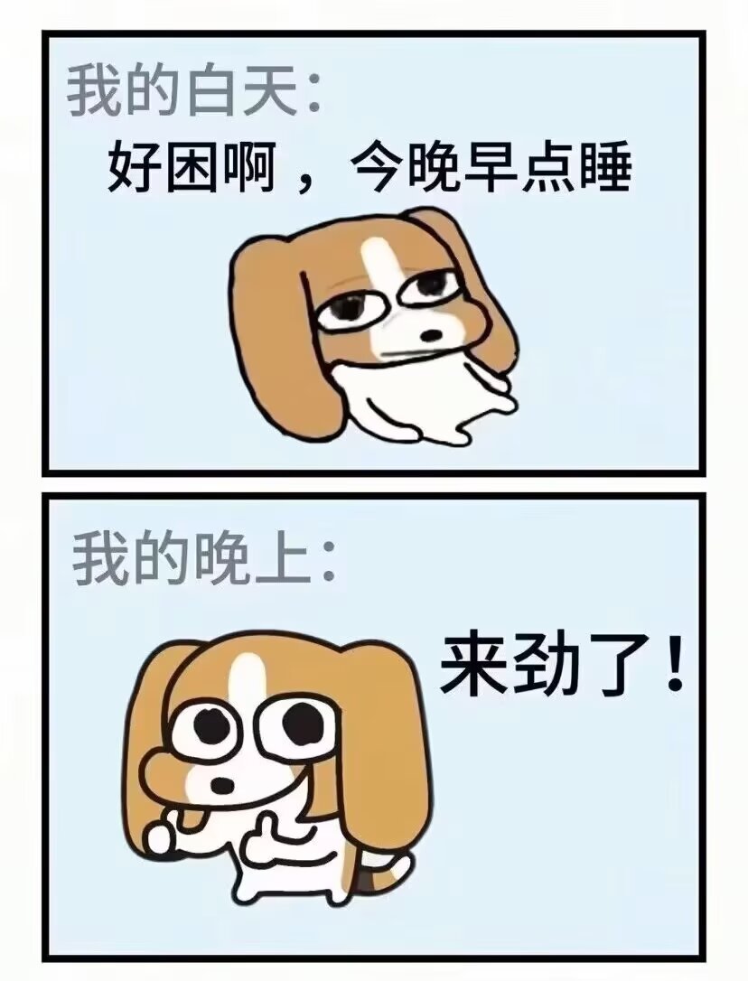我每天就这样： 