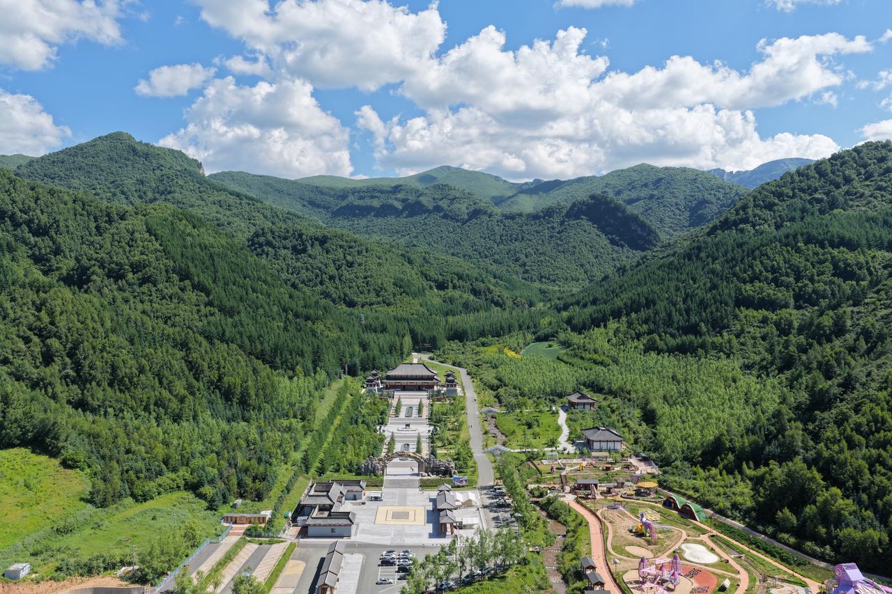 渭河源头藏在鸟鼠山的山沟沟里，满山的树林子绿得跟泼了颜料似的，薄薄的雾飘在半山腰