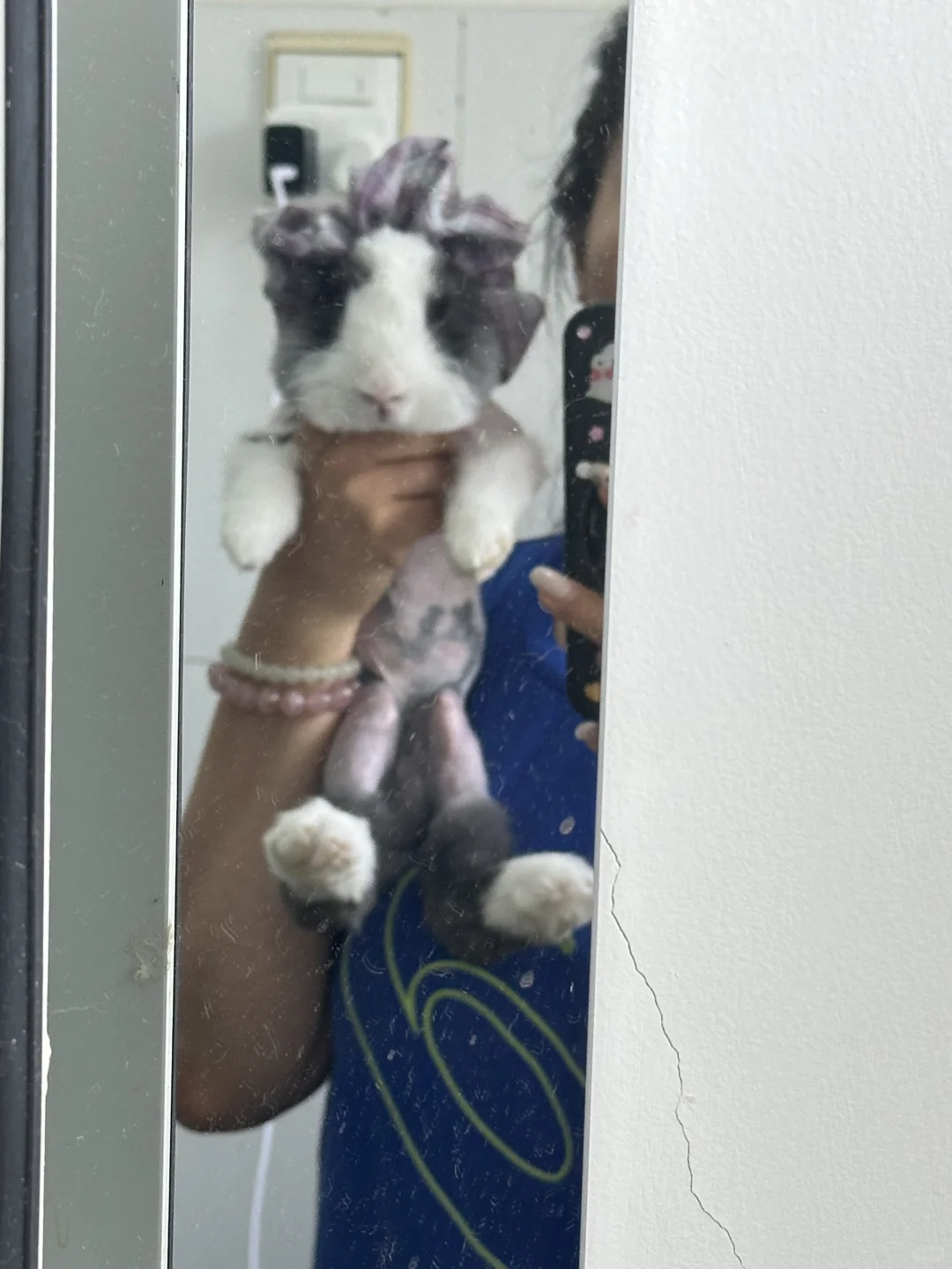 怎么能算不幸运呢