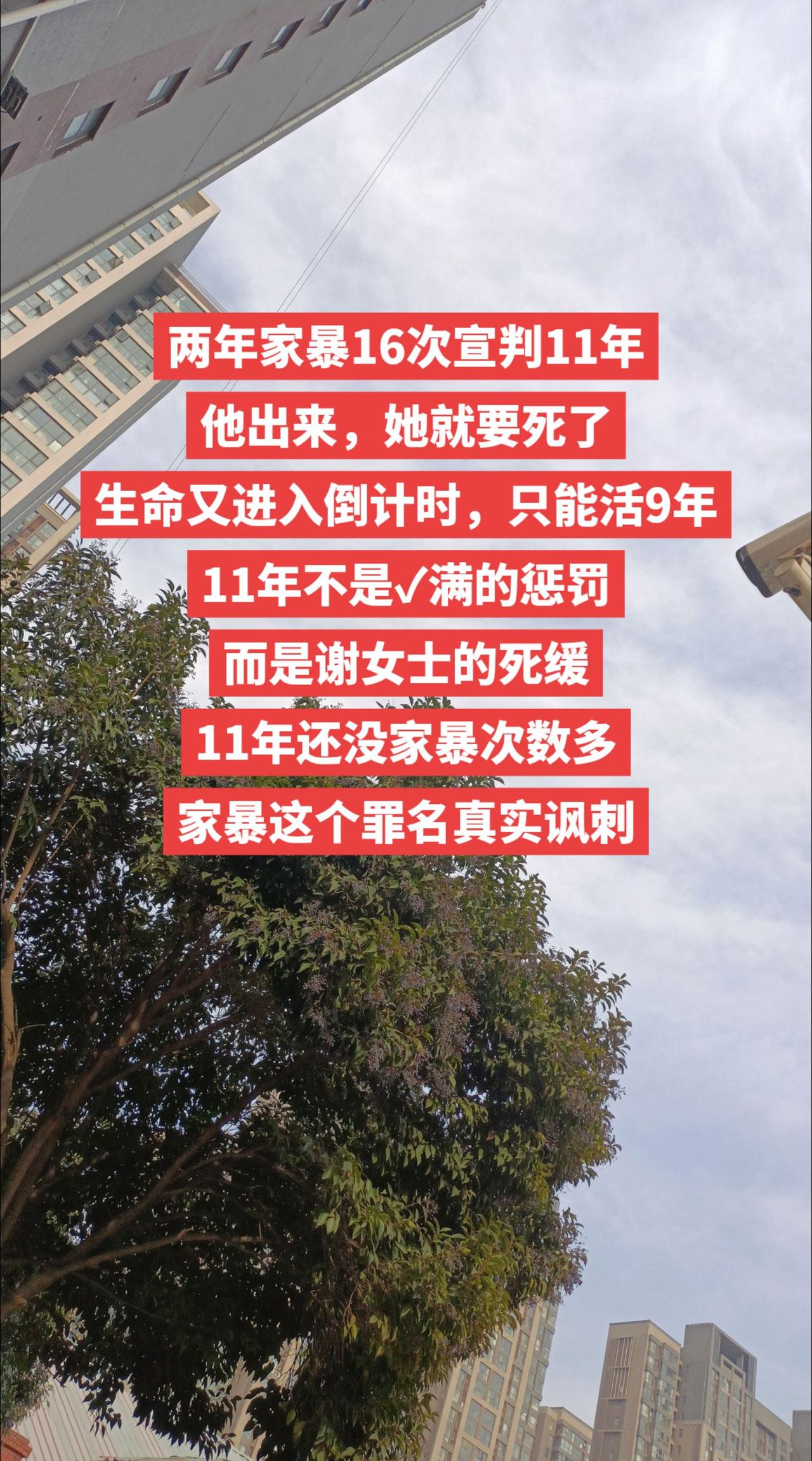 两年家暴16次判11年