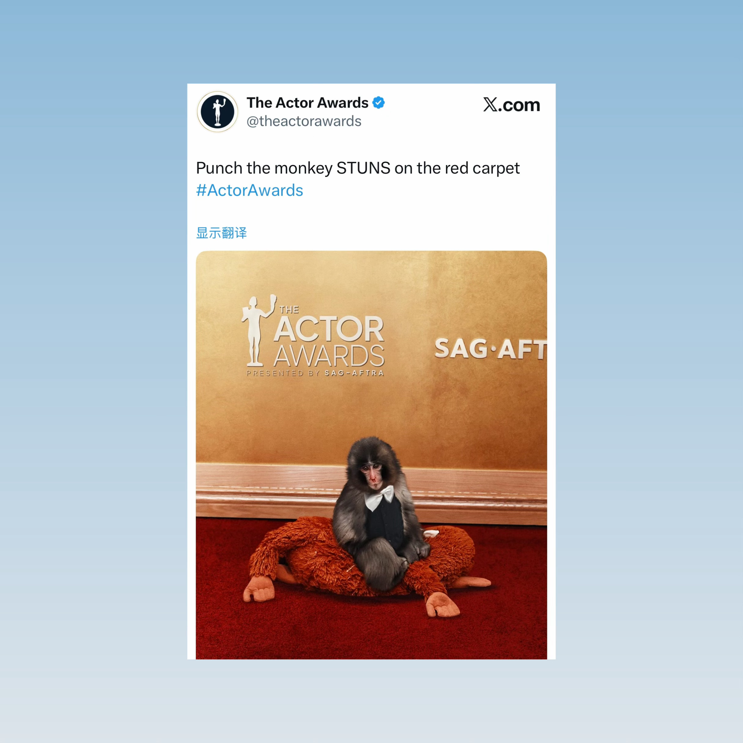 官方玩梗：小猕猴Punch亮相第32届演员奖红毯