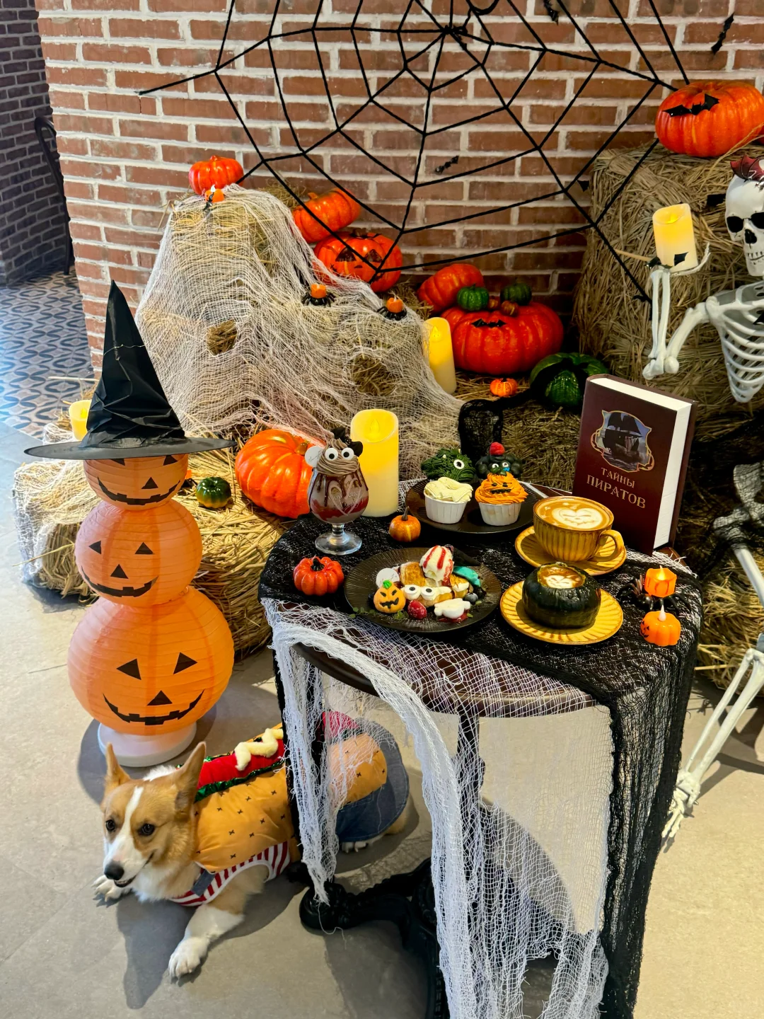 宁波新店！万圣节氛围已就位✔️🎃👻