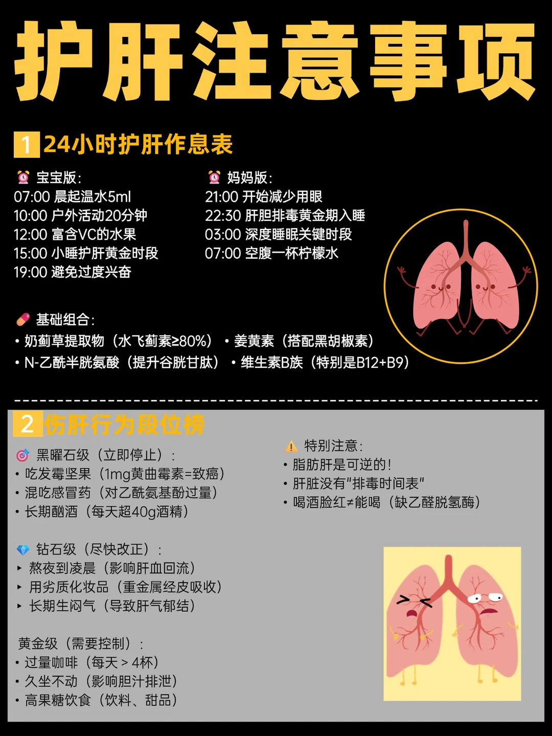 护肝全攻略|科学护肝指南