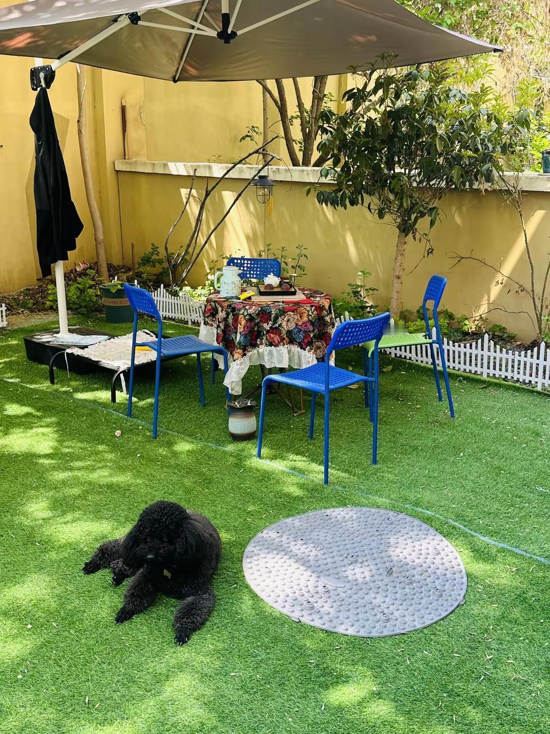 包裹打完发走了，泡一壶茶在院子里晒会太阳。这就是传说里的岁月静好吧？很舒服也很惬