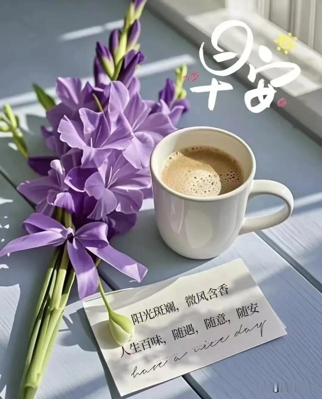  阳光斑斓，微风含香，随遇而安，自在向阳，早安。