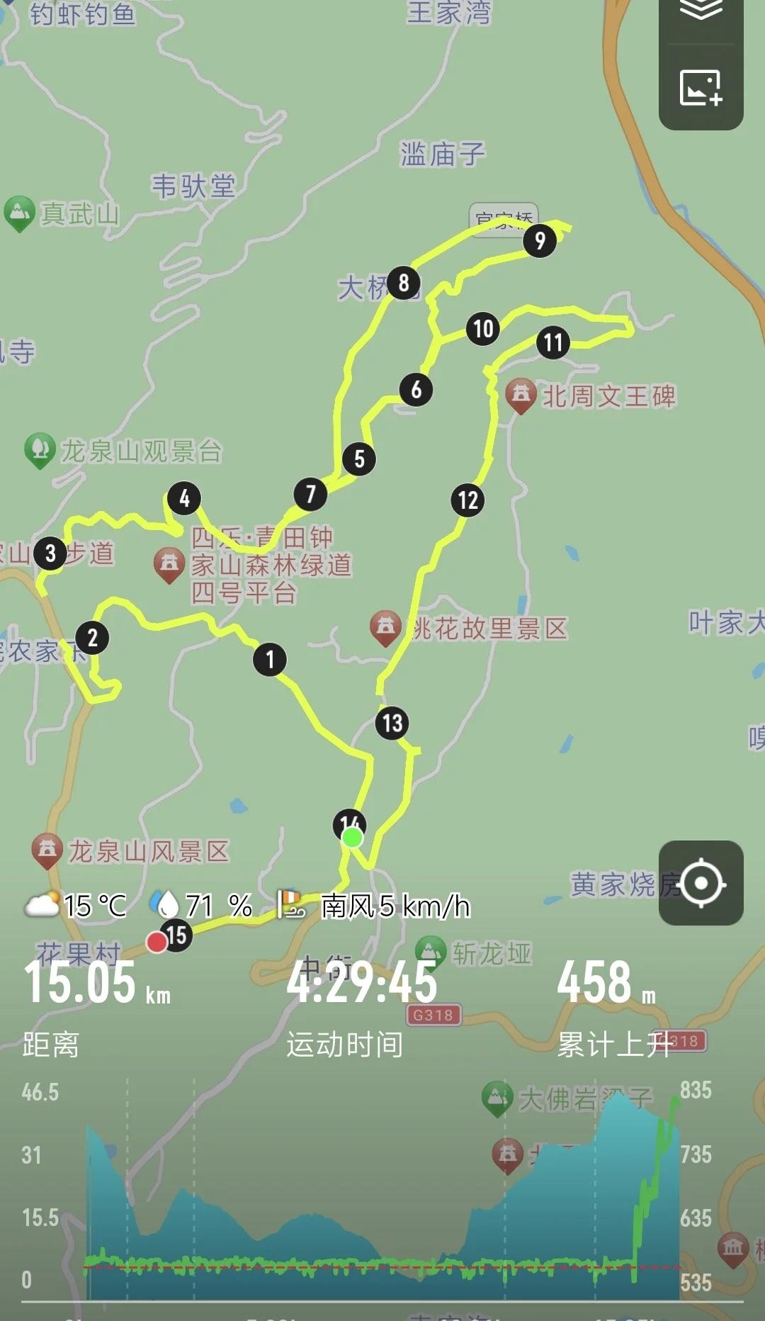 龙泉桃花即将盛开，带着小狗，马年一起画马
桃花花情播报: 山下开了不少，山上还有