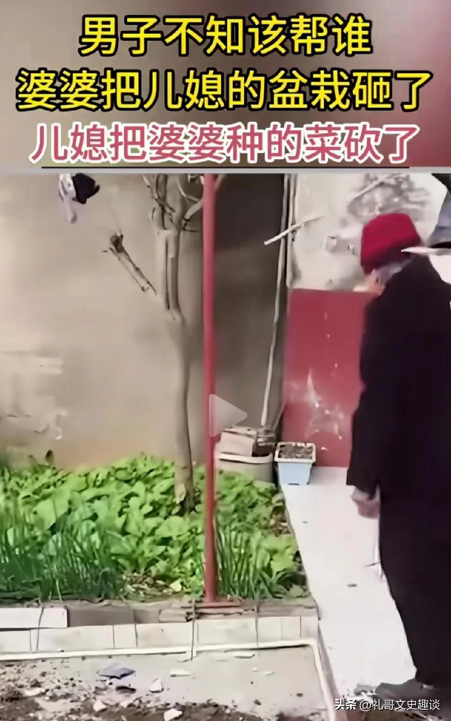 婆媳大战愁坏了男子。男子的妈妈和他老婆不和睦，他妈妈嫌弃他媳妇儿养的花盆太多了，