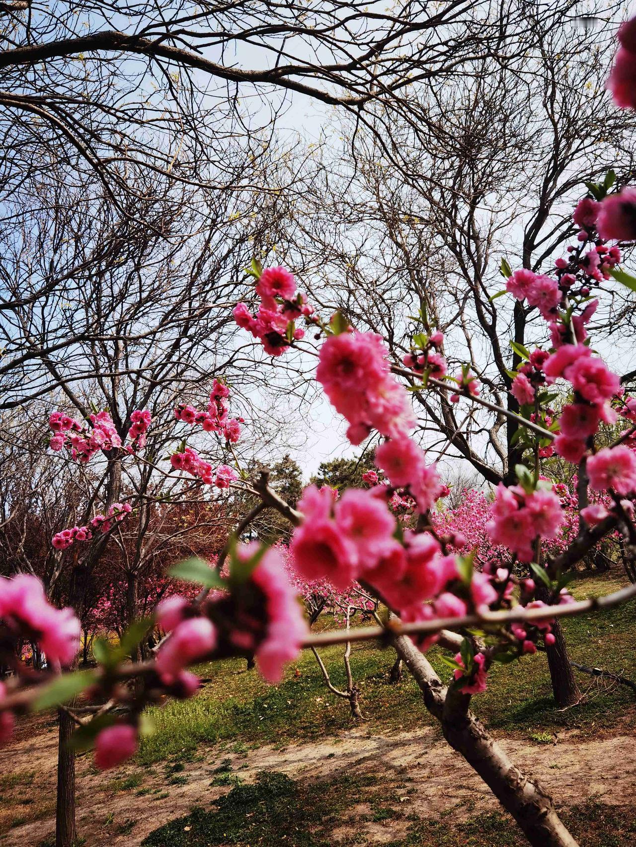 我的今日状态：😁轻松愉快
我这里的天气：☀️晴天
