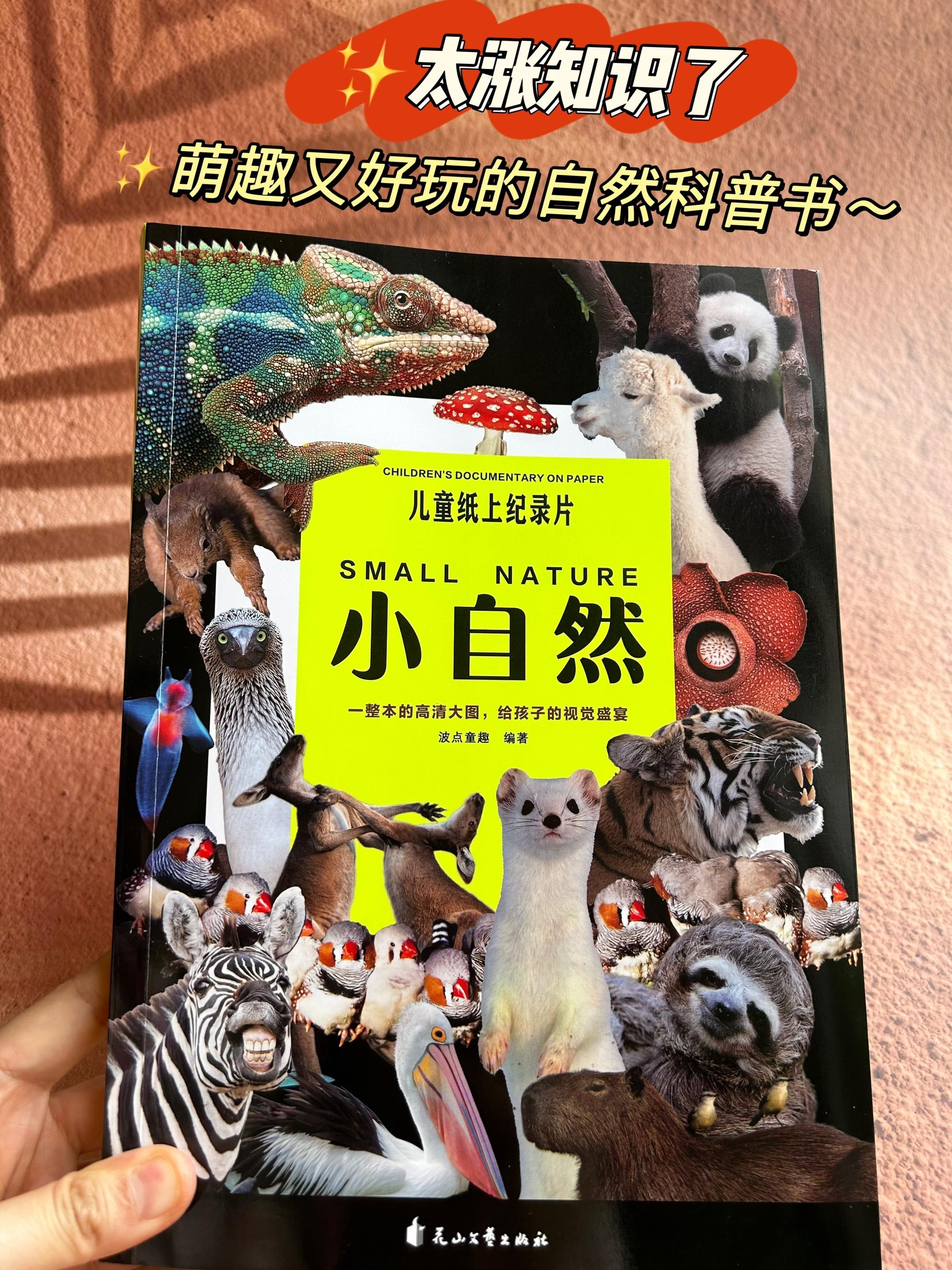 太有趣了！2岁娃超爱的自然科普书～