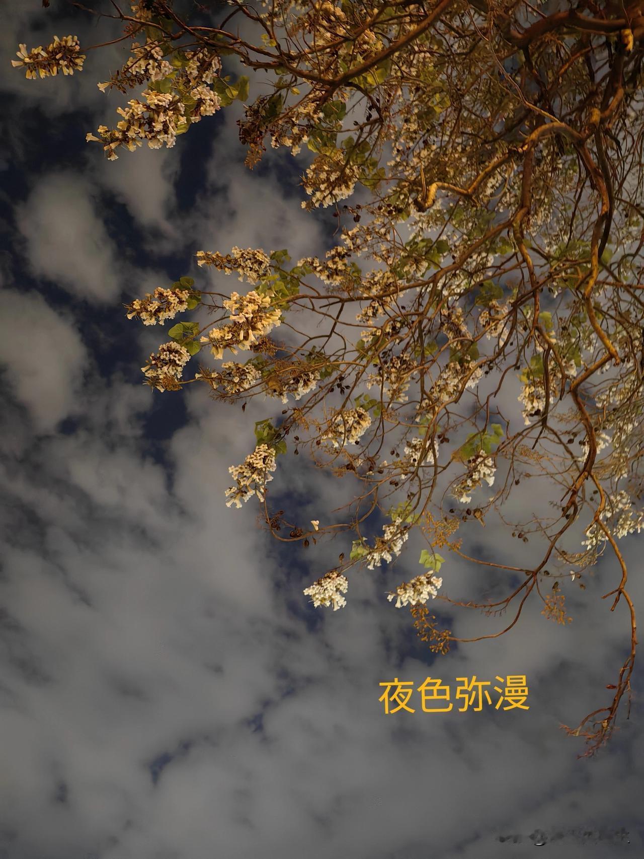 发现美好，分享美图美丽的夜色