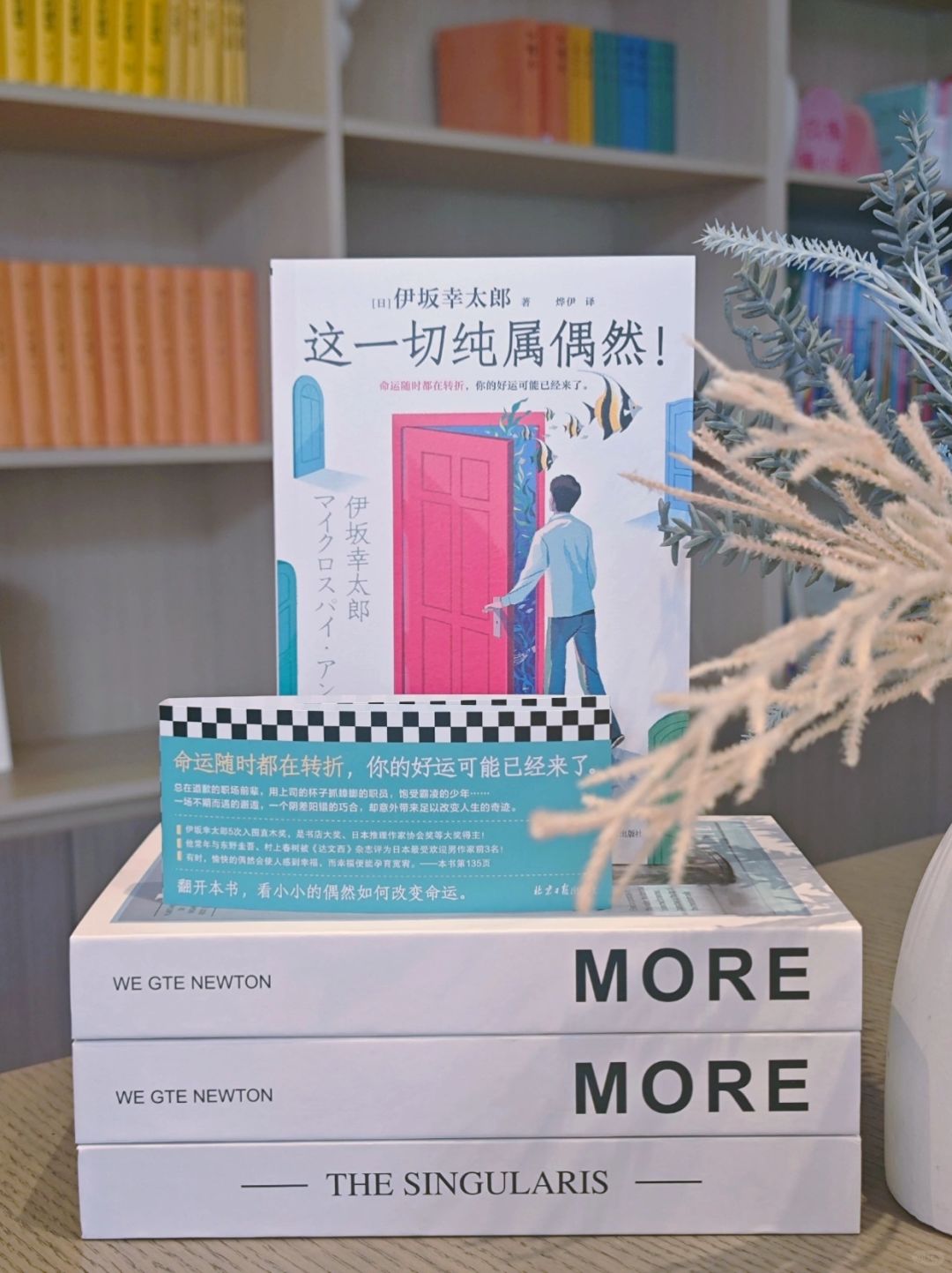 来接好运了！这本书真的将我狠狠治愈～