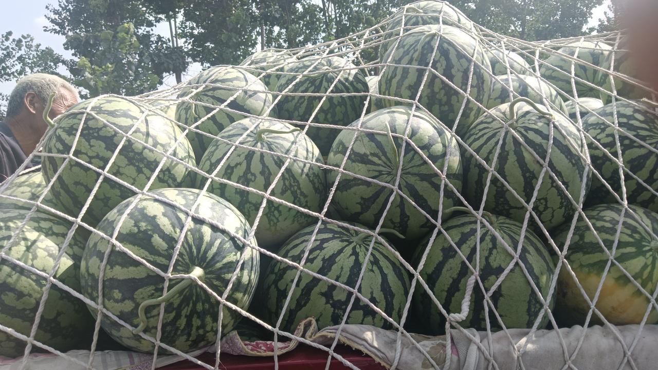 瓜还没卖，老公的吼声就震破了我的耳膜，“谁叫你卖的？滥贱，你没见过钱吗？臭婆娘。