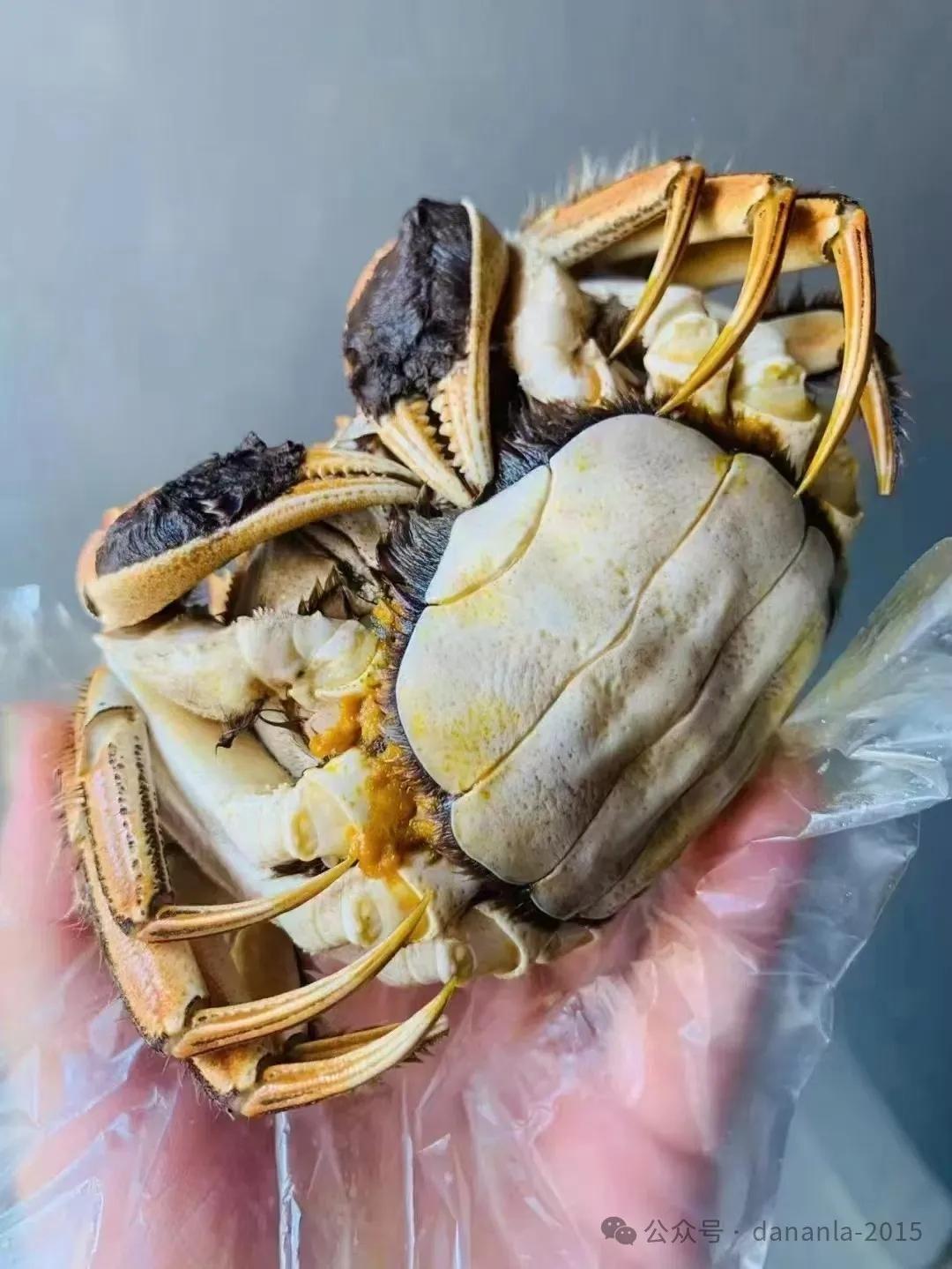 秋风一起，朋友圈就开始“蟹”气冲天——蟹卡、礼盒满屏刷，好像不吃几只大闸蟹，这个