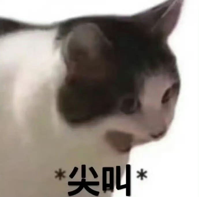 点告黑网页链接