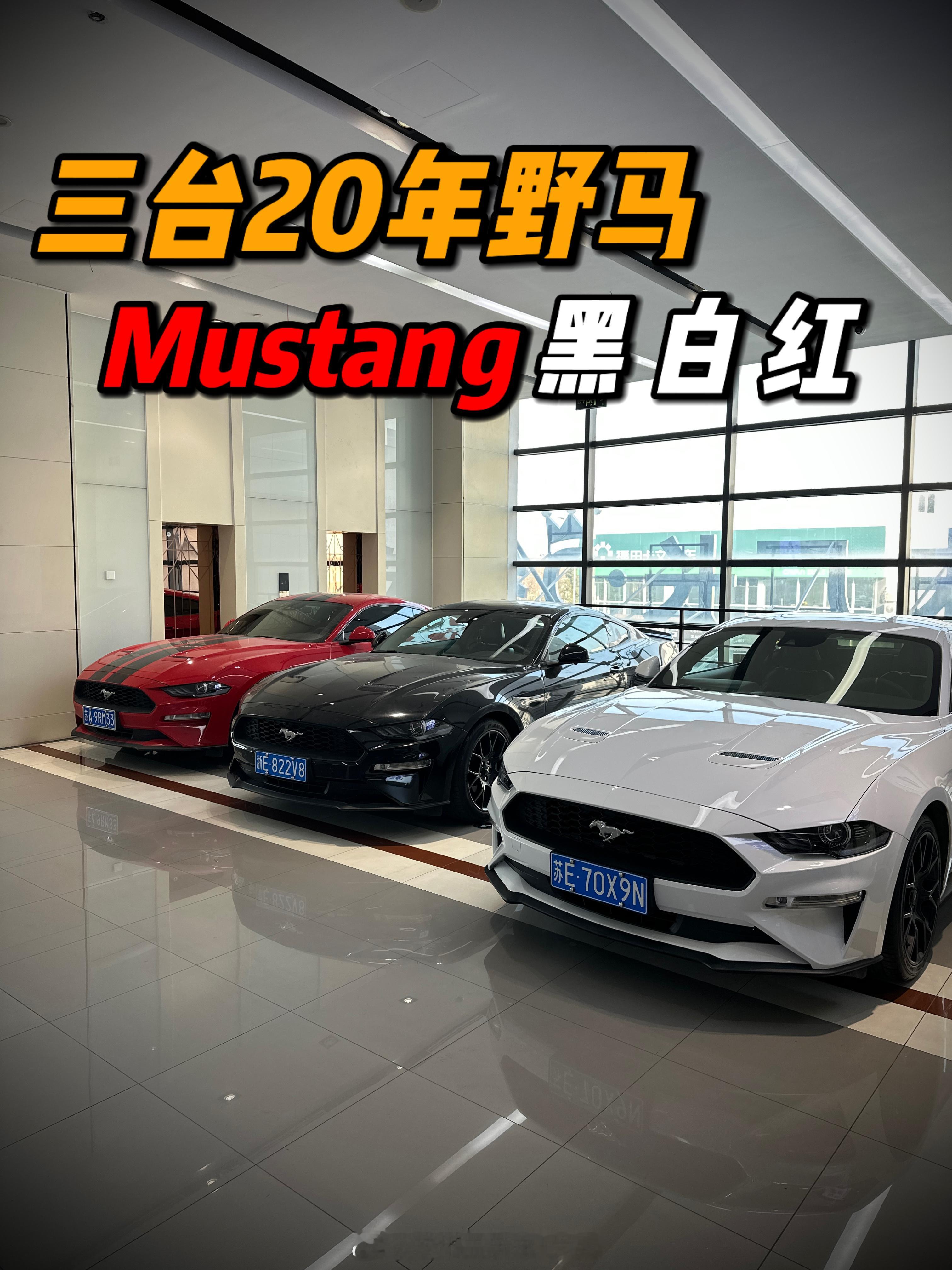 昨天晚上又快递回来了两台小跑车一台黑色的野马 一台红色Mustang、还有一台白