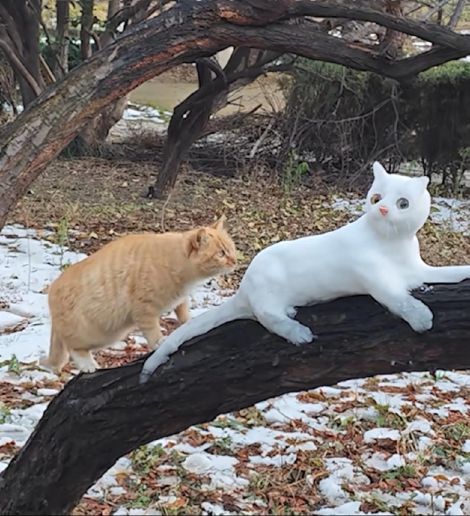 男女相处，最舒服的两性关系是啥样的？

最舒服的关系，
是你侬我侬的耳鬓厮磨？