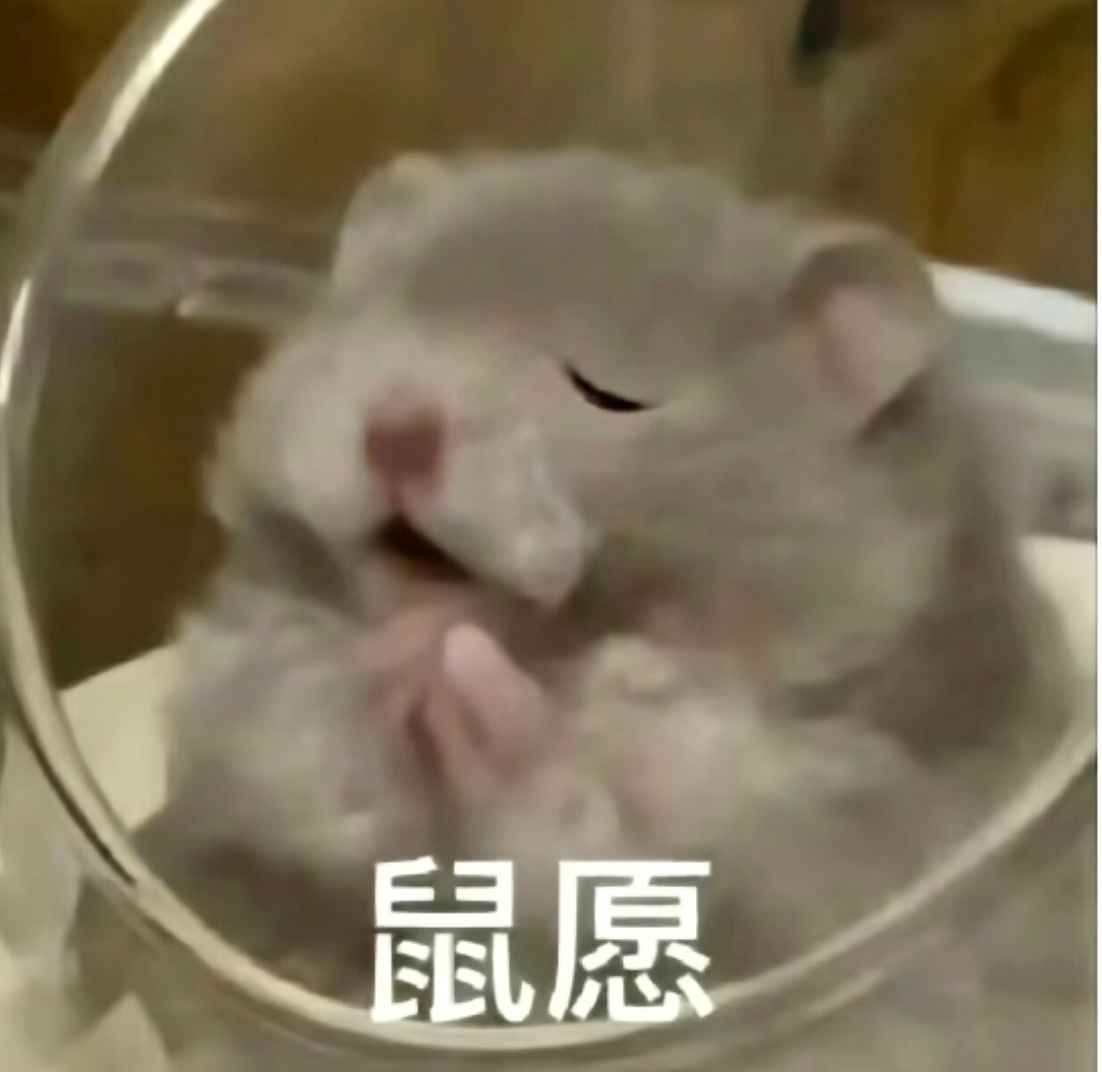 真的就像做梦一样快乐！其实很多很多年前我就想来这里读书了，真的是很多很多年前。那