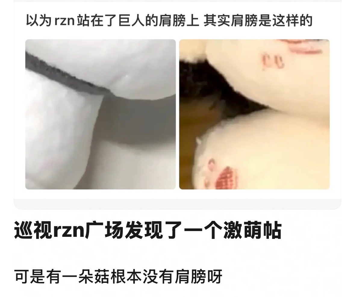 发现一个萌贴 