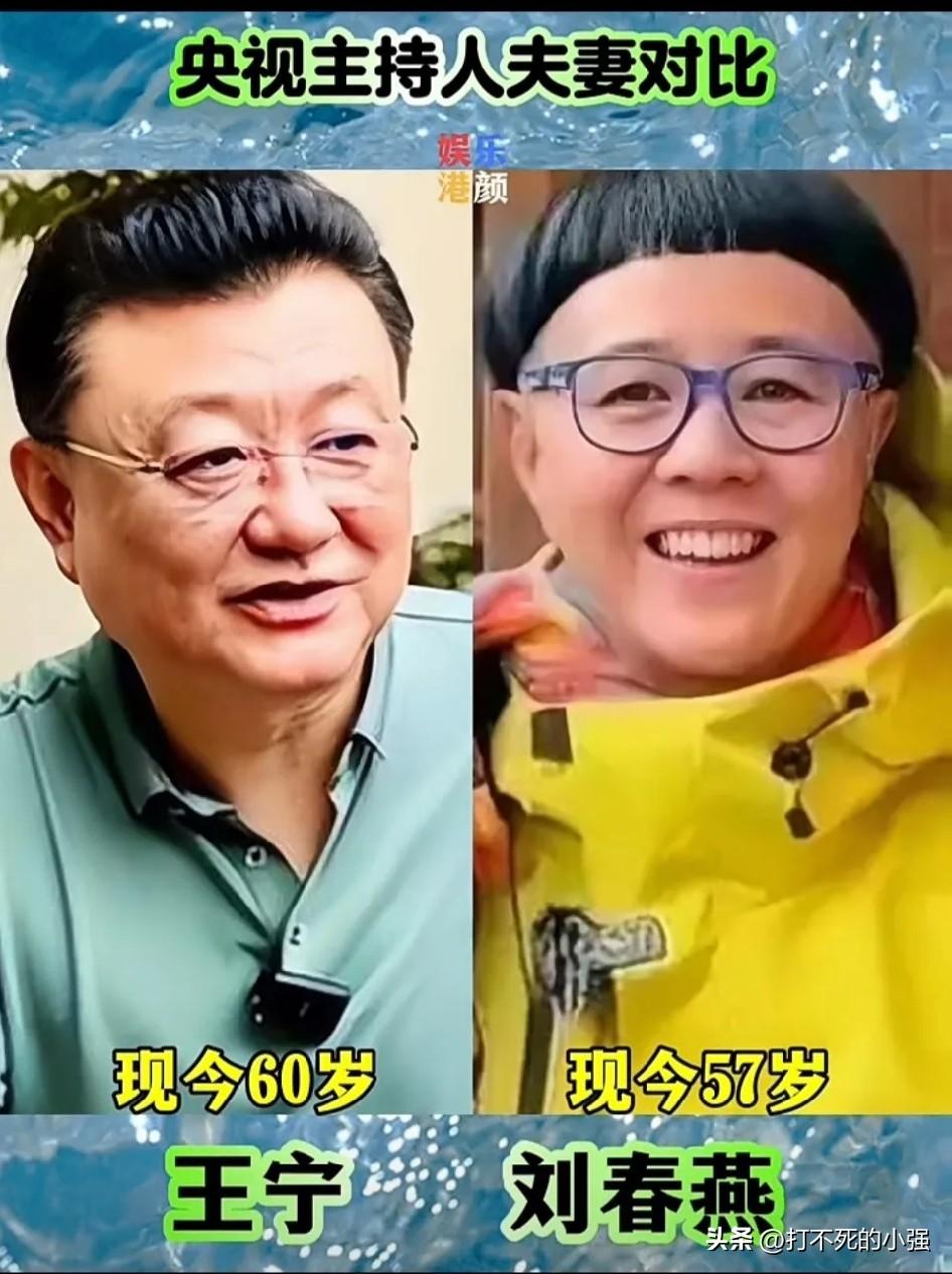 央视主持人神仙眷侣！原来他们是夫妻，你认识几对
1. 王宁 & 刘纯燕（金龟子）