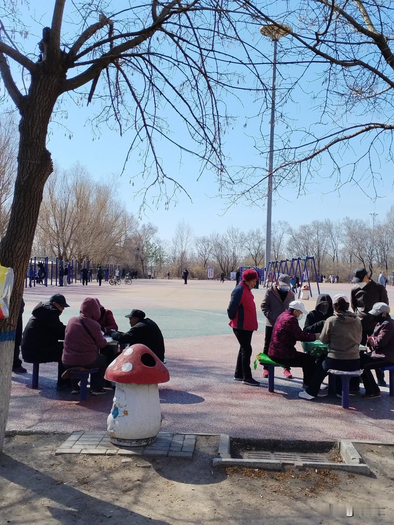 这里是黑龙江省肇东市南湖公园游乐广场。
   尽管已是深春，气温仍然较低。但这些