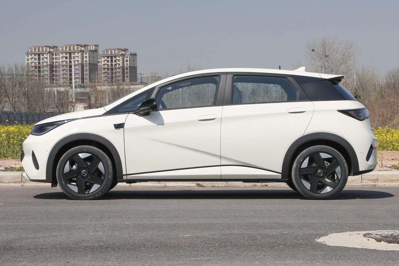 比亚迪的新动作确实太多，网传小型车海豚将推出DM-i版本，我看今年比亚迪才是真正