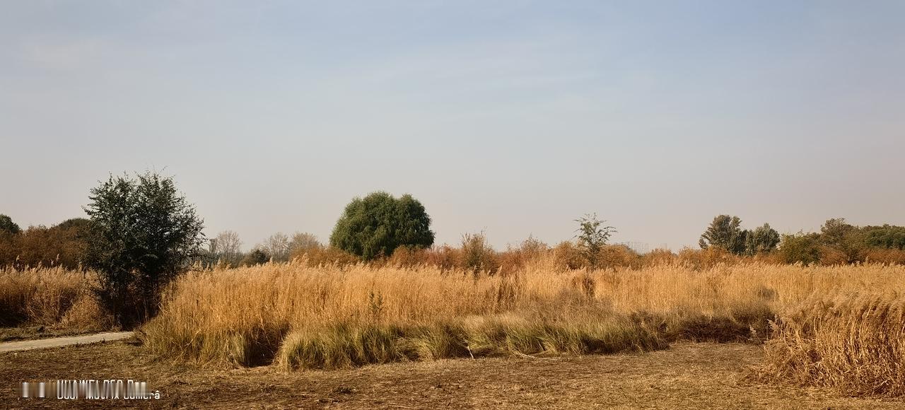 重阳节遇上这般好天气[偷笑]，老人家身体硬朗，再加上赛汗塔拉的绝美景色，实在太棒