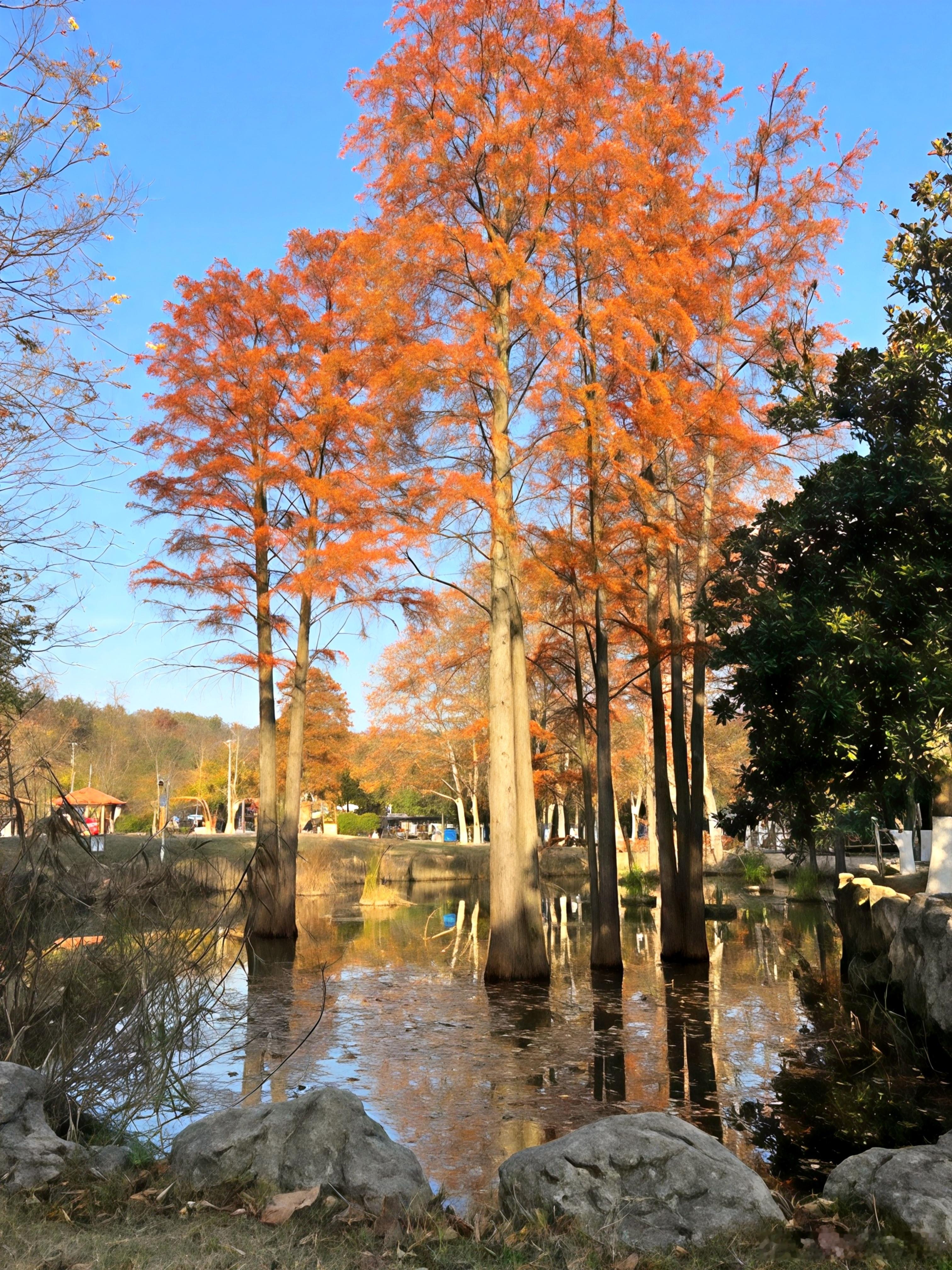 武汉旅游攻略不是青岛就在武汉🏙这条徒步线真的封神!江夏熊廷弼公园这处徒步线，真