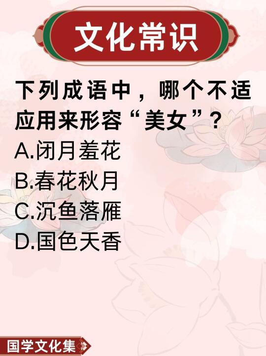 文化常识打卡
