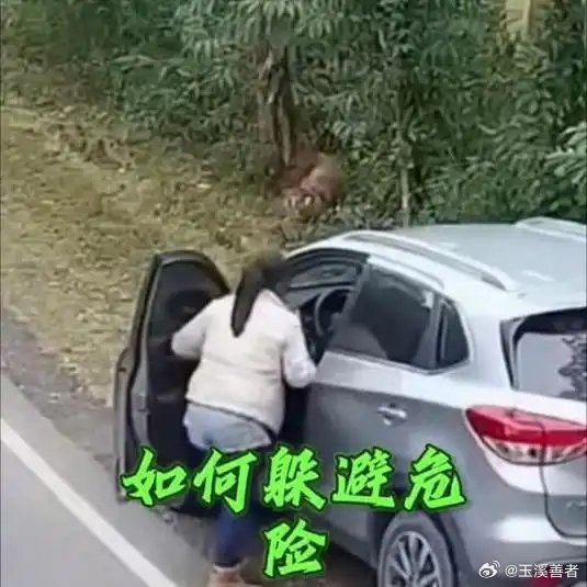 《如何躲避危险？保护野生动植物，守护生态家园》播放量：4万点赞量：129网页链接